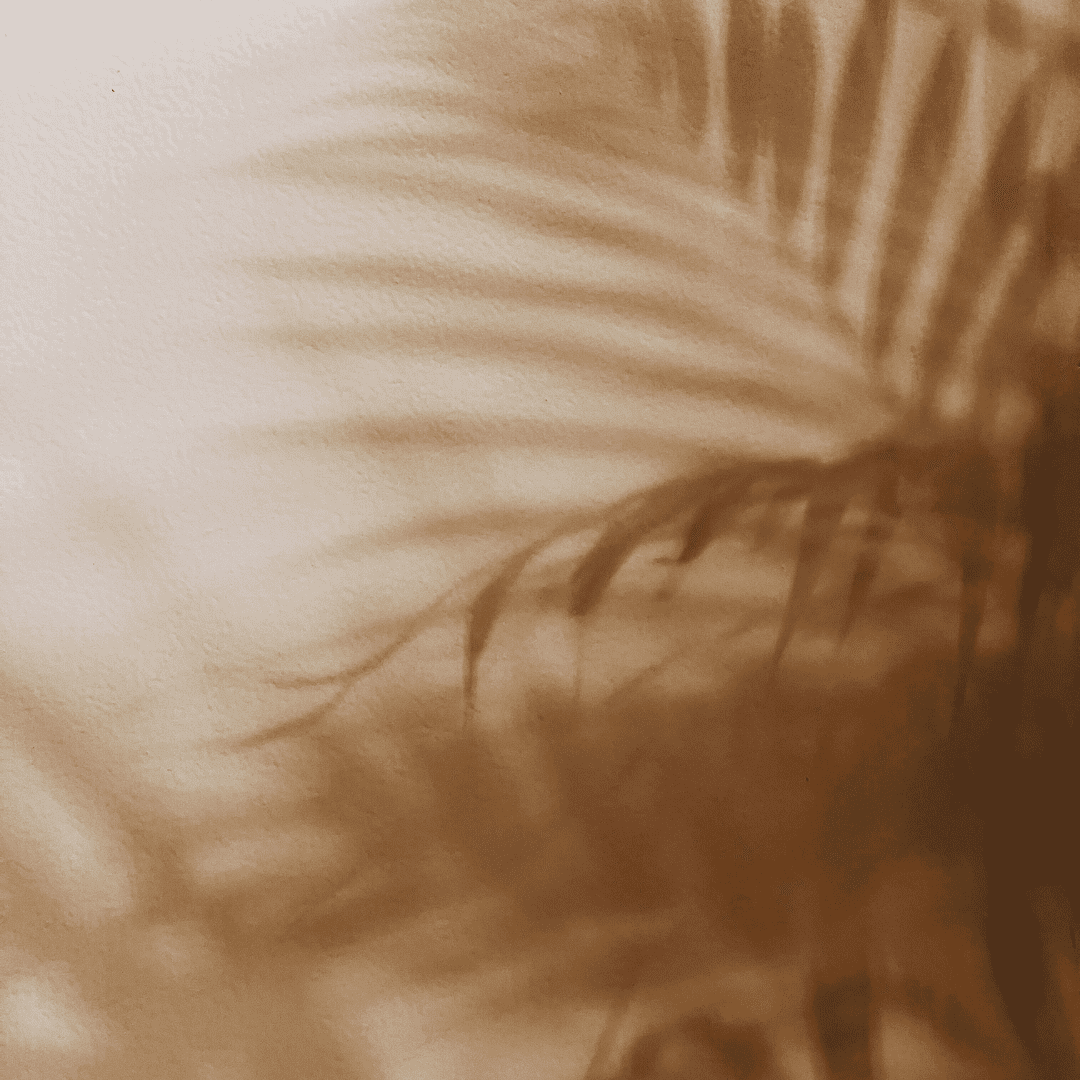 shadows from palm leaves overlapping on light burnt orange wall